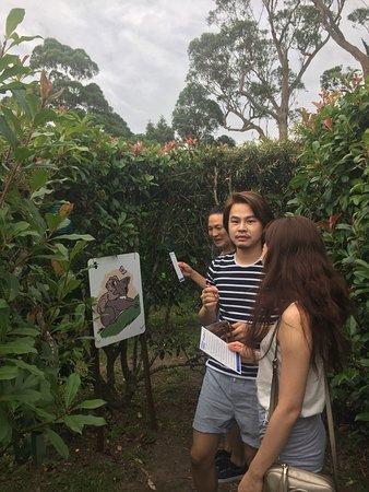 Granties Maze