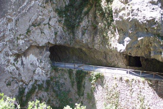 Senda del Oso