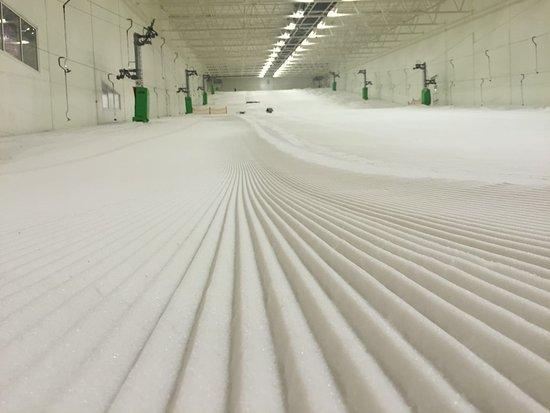 Snozone Yorkshire