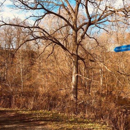 Hidden Valley Park