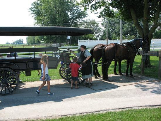 Aaron and Jessica's Amish Buggy Rides
