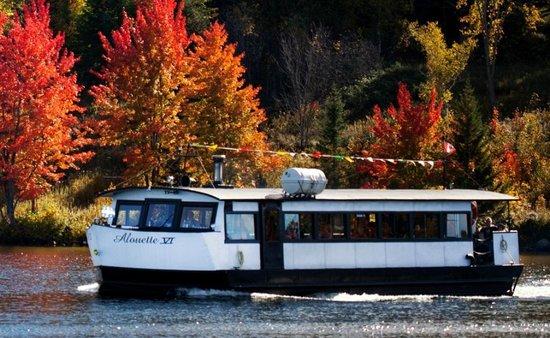 Croisières Alouette