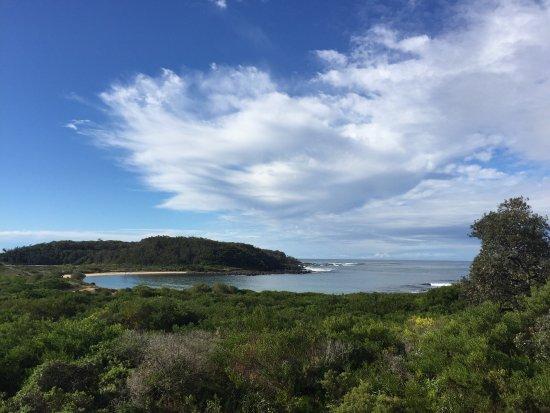 Broulee Island Nature Reserve
