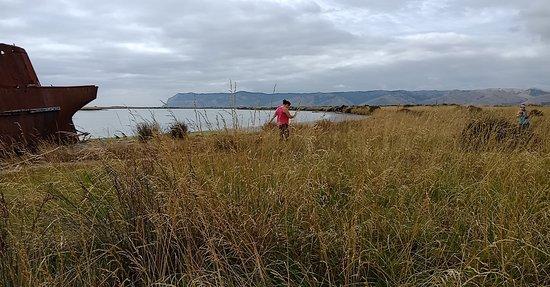 Wairau Lagoons Walkway