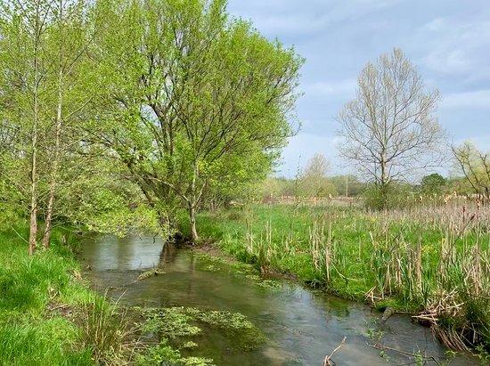 Cool Spring Nature Preserve