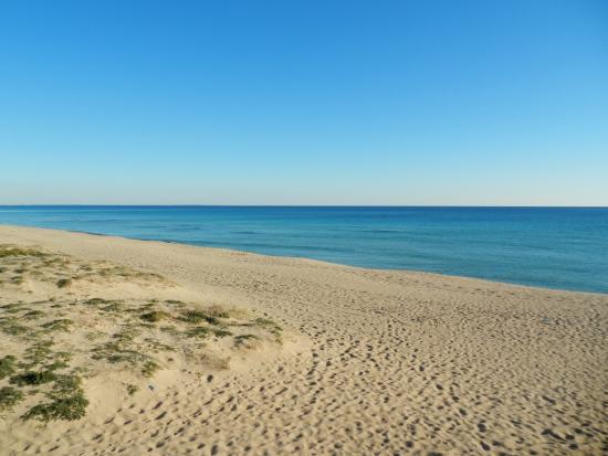 Beach of San Pietro in Bevagna