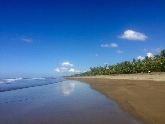 Playa Matapalo