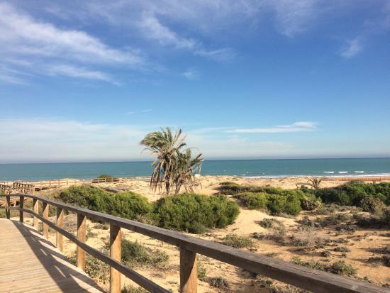 Playa del Carabassi