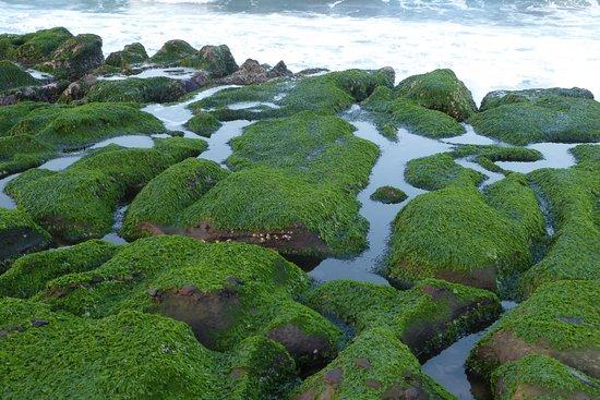 Laomei Green Reef
