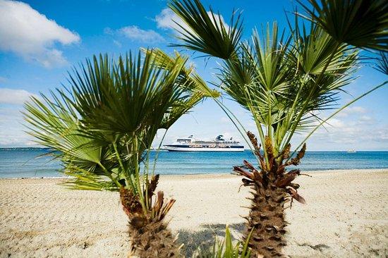 Tropical Beach