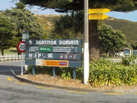 Ngati Toa Domain