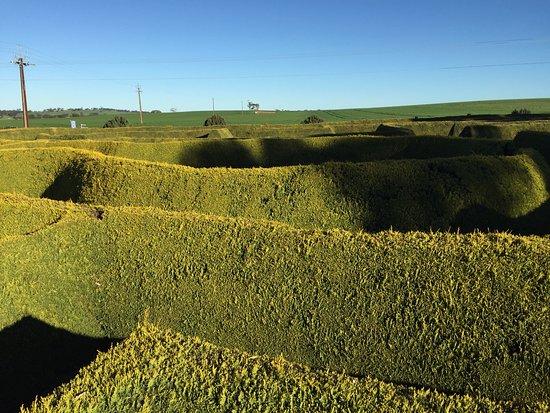 Mintaro Maze