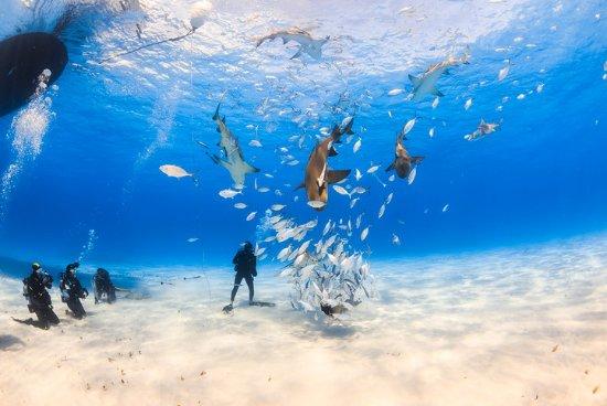 Brendals Dive Center & Water Sports