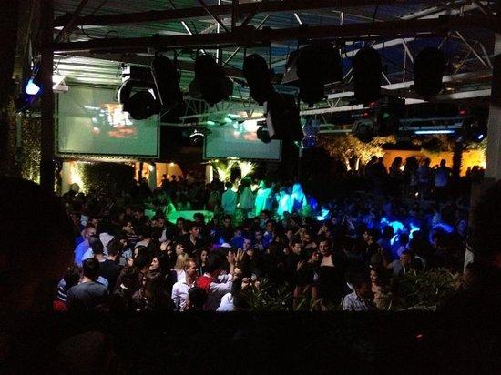 Coconut Discoteca