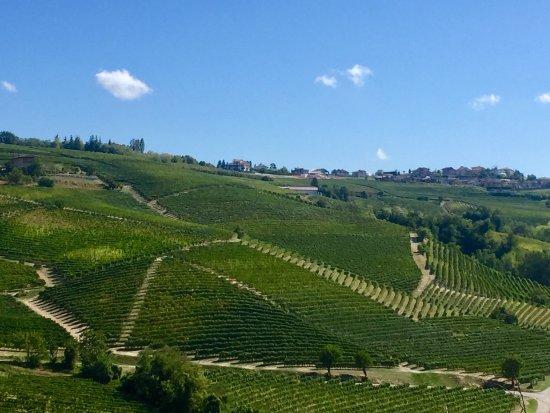 Strada Romantica delle Langhe e il Roero