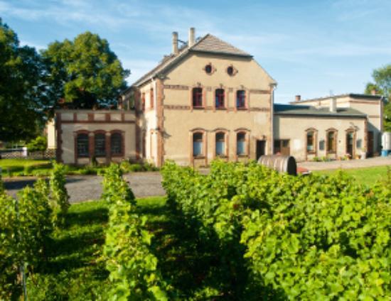 Weingut Henke
