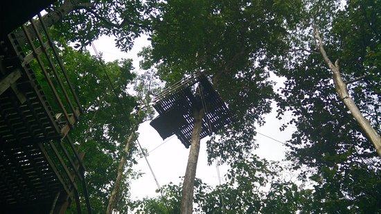 Zipline Chiangmai