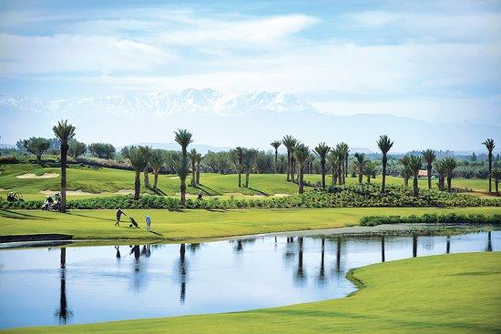 Golf Royal Palm Golf & Country Club