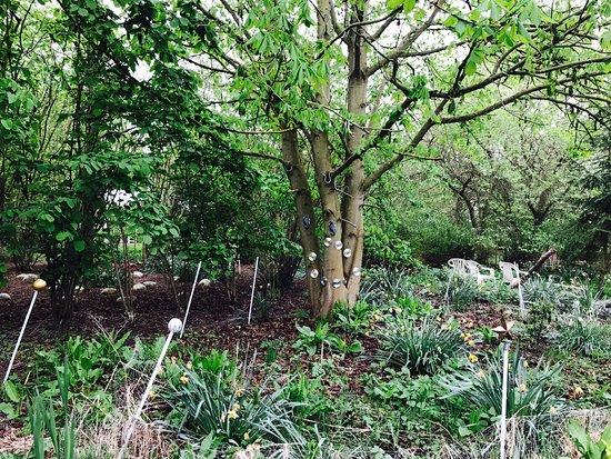 Hoo Hill Maze