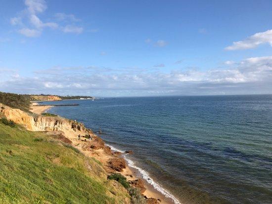 Sandringham Beach
