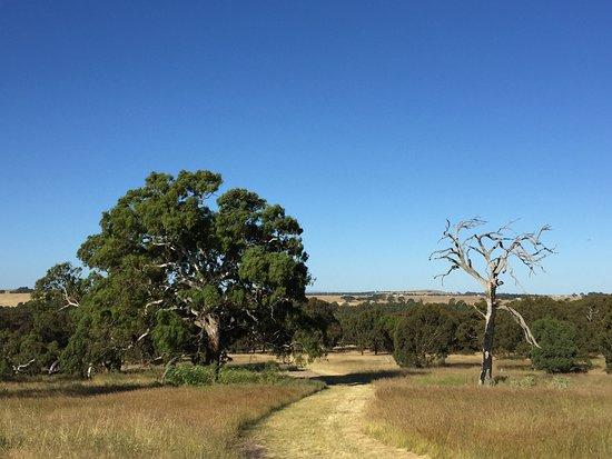Woodlands Historic Park