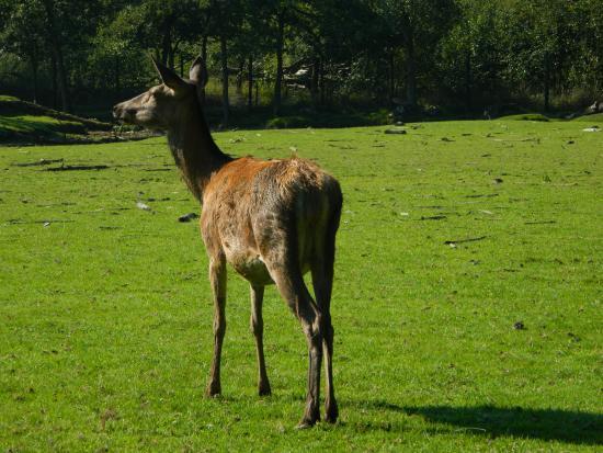 Provinciaal Groendomein De Averegten