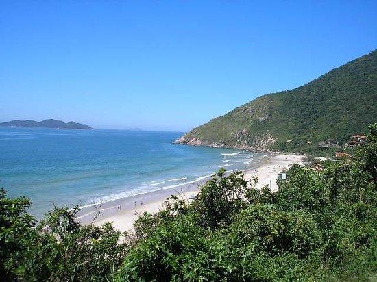 Lonely Beach