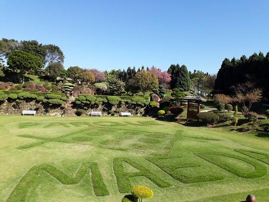 Parque Maeda