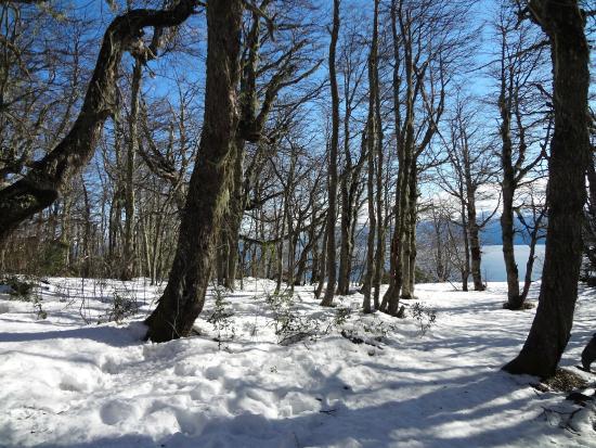 Centro de Ski Nordico