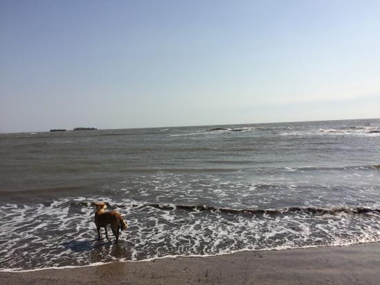 Varsoli Beach