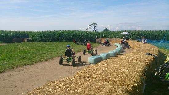 Easingwold Maize Maze