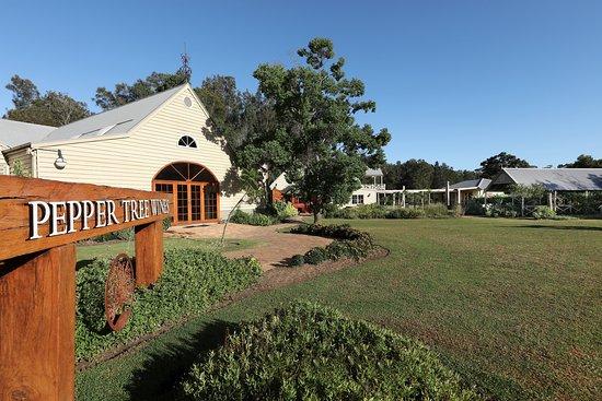 Pepper Tree Wines