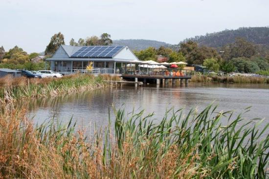 Puddleduck Vineyard