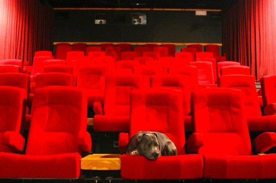 Bunkhouse Theatre