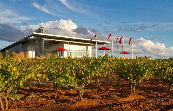 Andis Wines