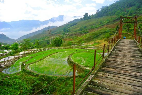 Topas Travel