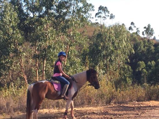Country Riding Centre
