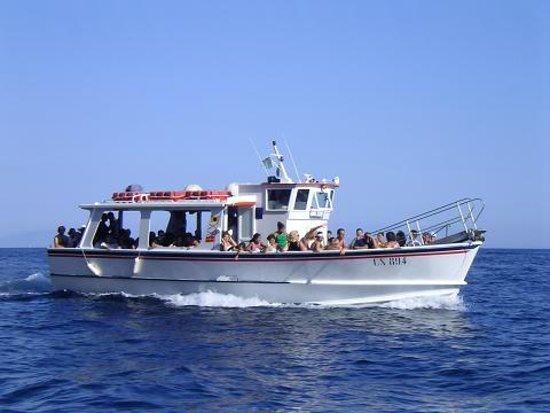 Nettuno Diving