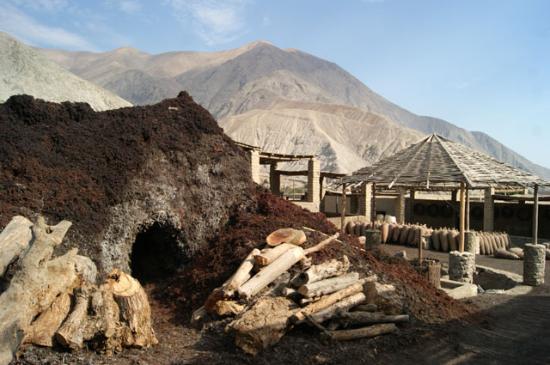 Bodega Reina de Lunahuana