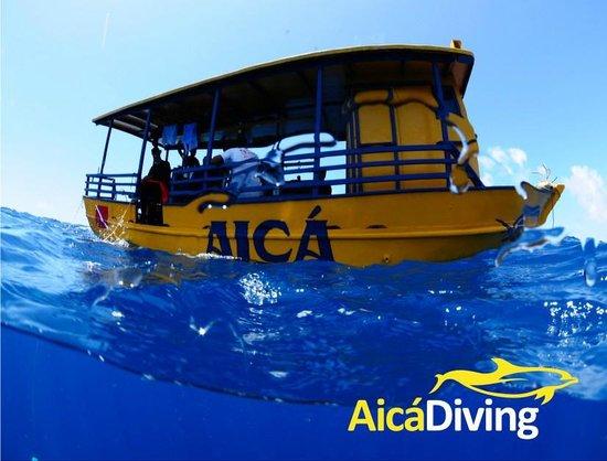 Aica Diving