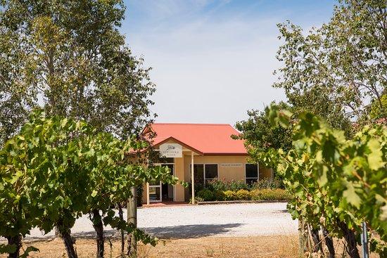Vinifera Wines