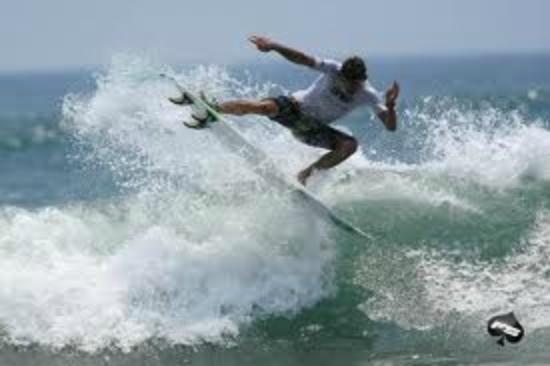 Carton Surf Shop