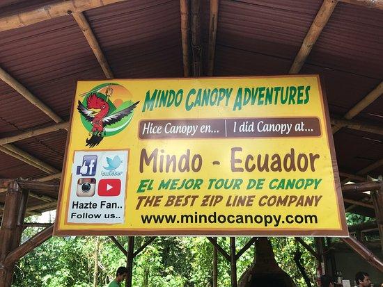 Canopy Adventure