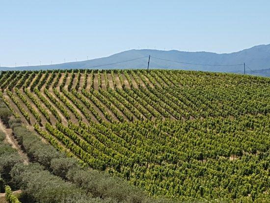 Quinta Seara d'Ordens