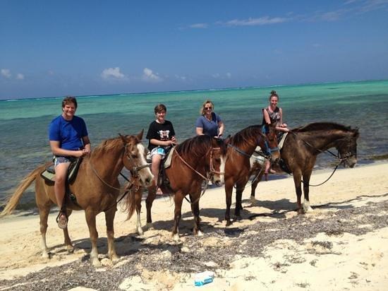 Pampered Ponies