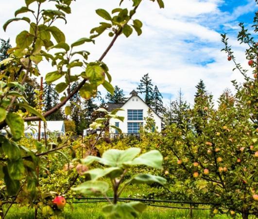 Sea Cider Farm & Ciderhouse
