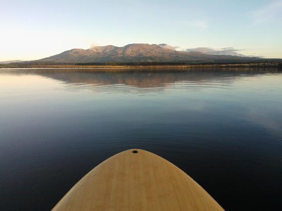 My Kiwi Adventure