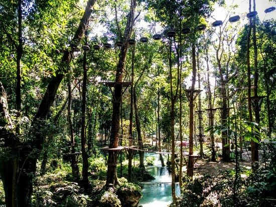 Green Jungle Park
