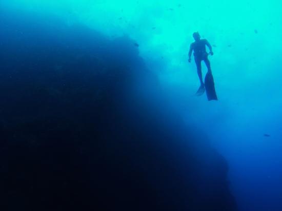 Saba Freediving School