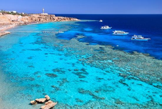 El Fanar
